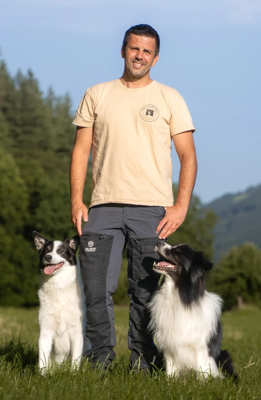 Hundetrainer Flo mit seinen Hunden DreisamDogs Hundetrainer Flo steht auf einer grünen Wiesen. Rechts und Links sitzen seine beiden Hunden.