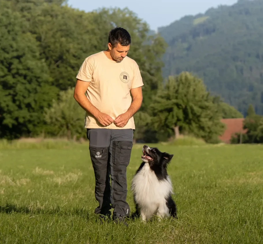 Flo mit Jaro beim Training Hundetrainer Flo trainiert mit DreisamDog Jaro auf einer grünen Wiese.